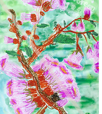 泡桐花开 泡桐花开