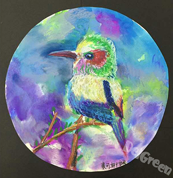 鸟类 鸟类
